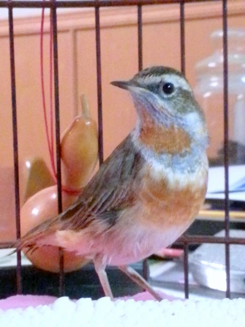20130613_204140.jpg