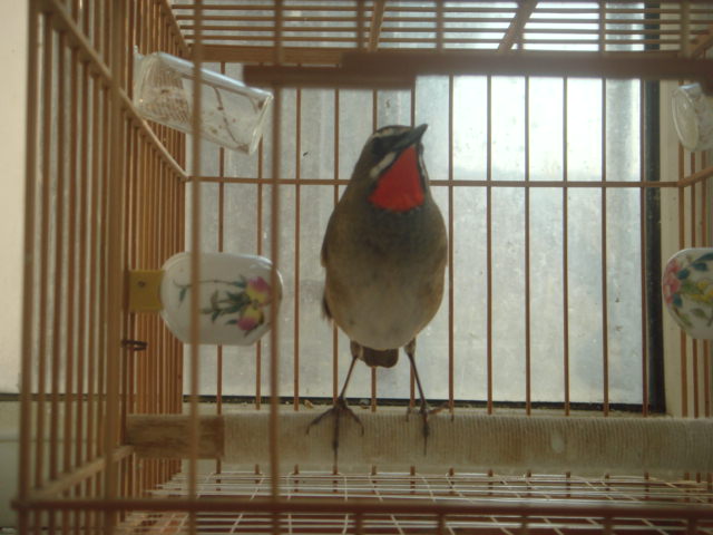DSC05258.JPG
