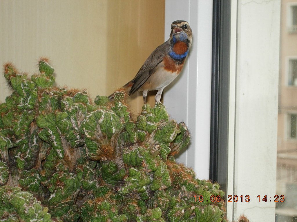 DSCN2679.jpg