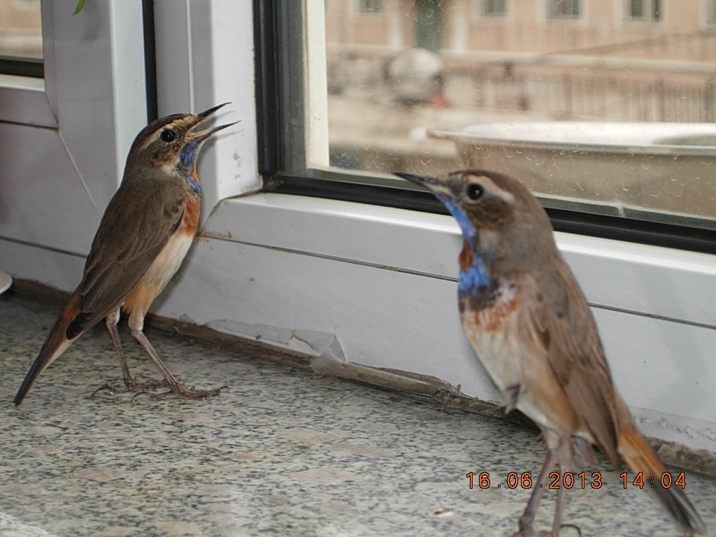 DSCN2644.jpg