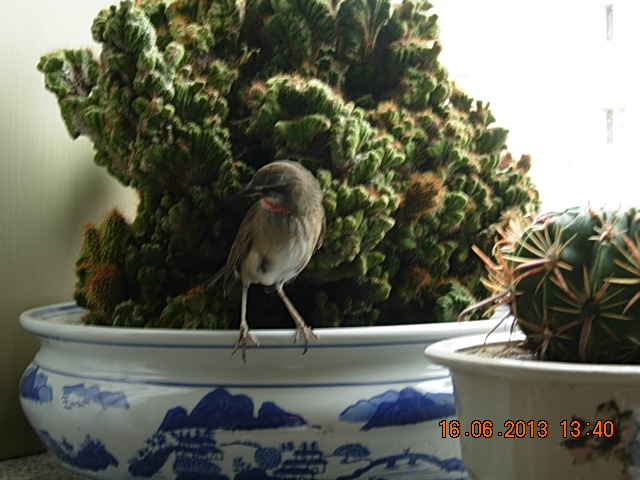 DSCN2635.JPG