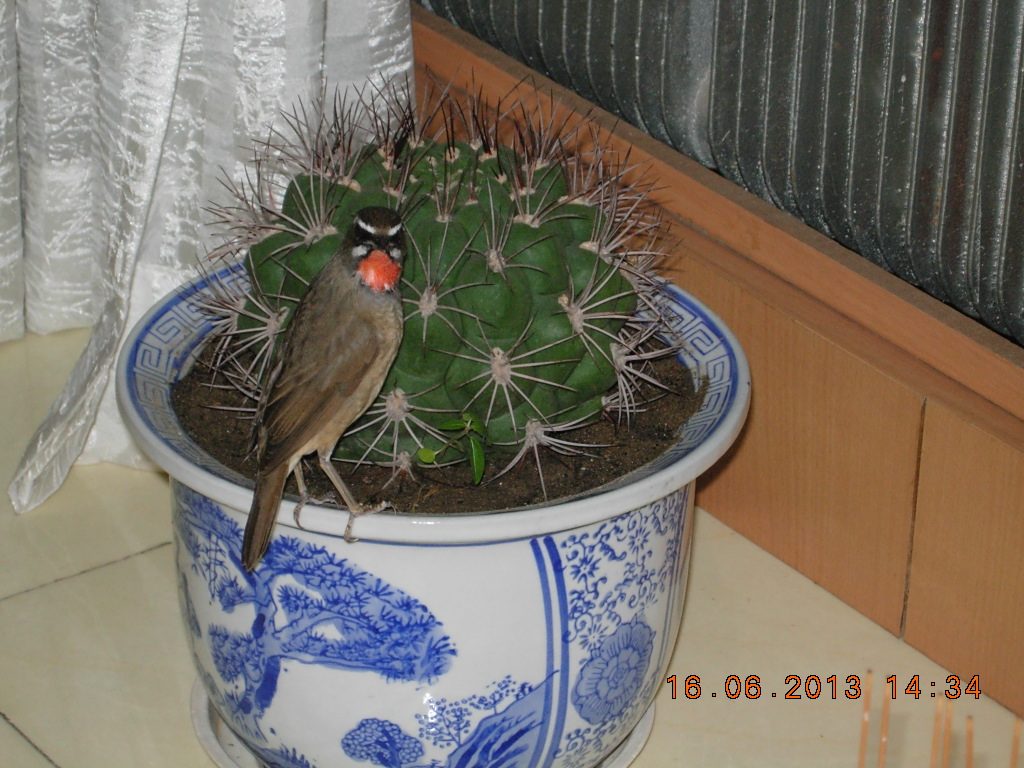 DSCN2693.jpg