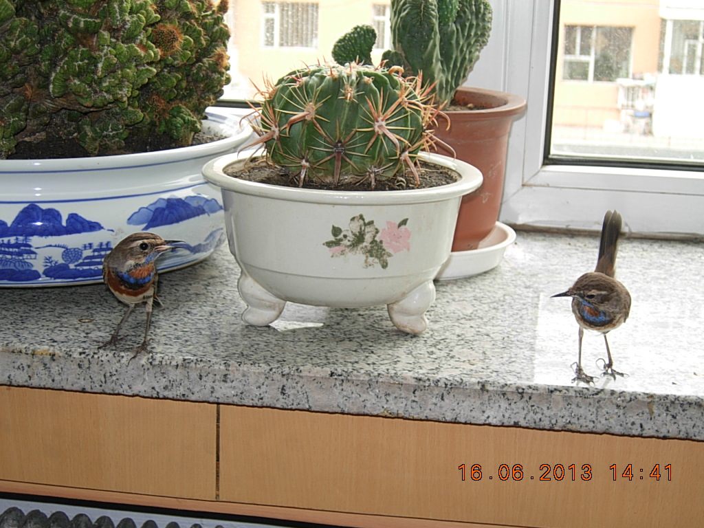 DSCN2707.jpg