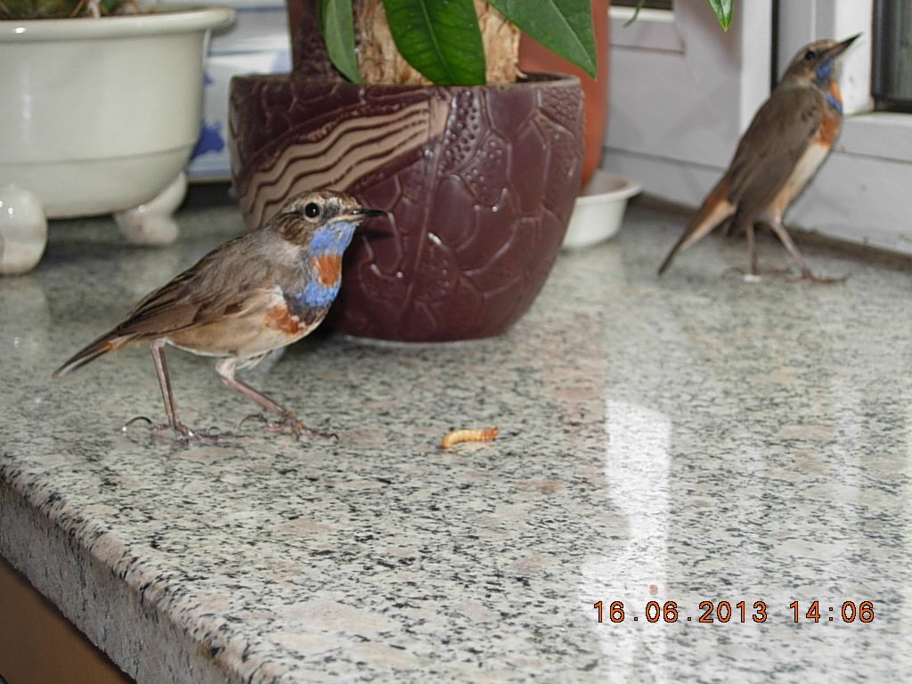DSCN2648.jpg
