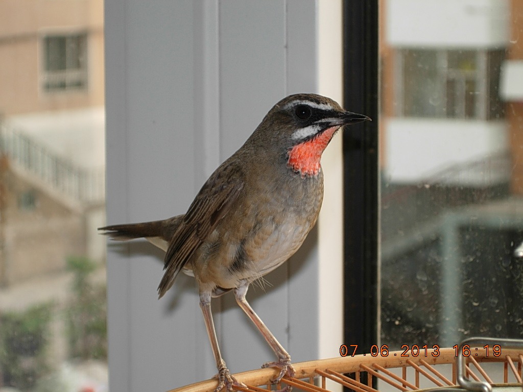 DSCN2561.jpg