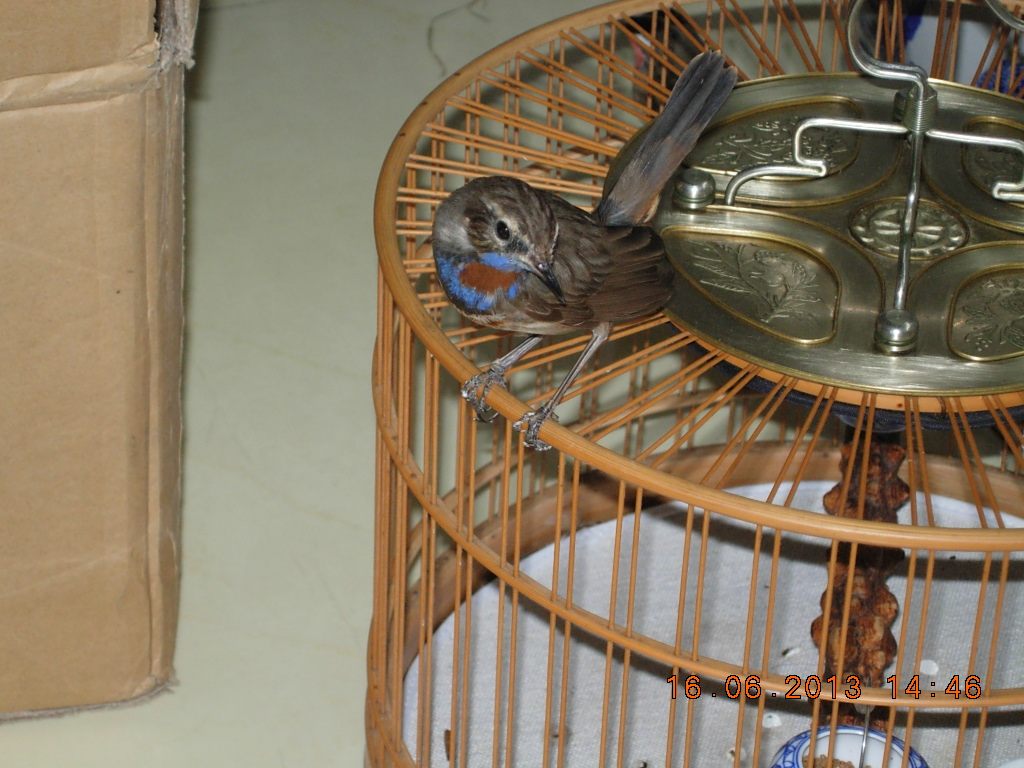 DSCN2712.jpg