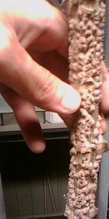 QQ图片20130626174737.jpg