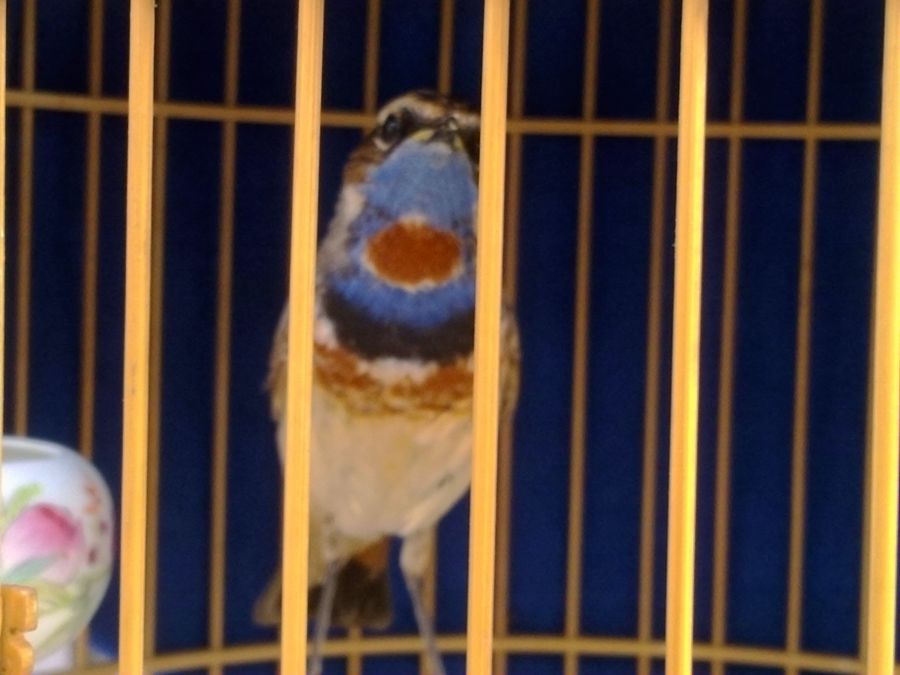 20130614225_副本.jpg