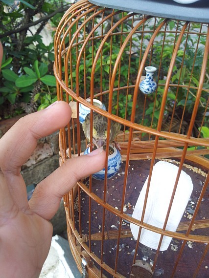 QQ图片20130603221504.jpg