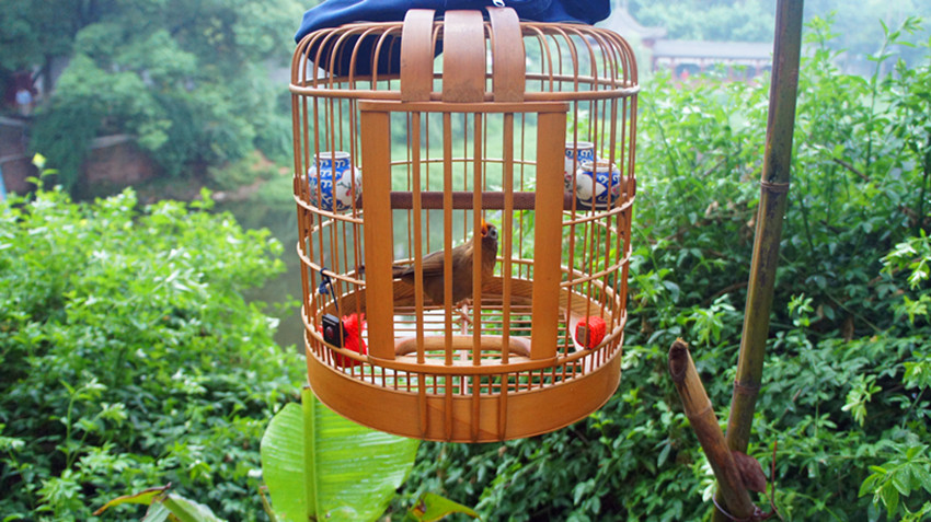 DSC04157_副本.jpg