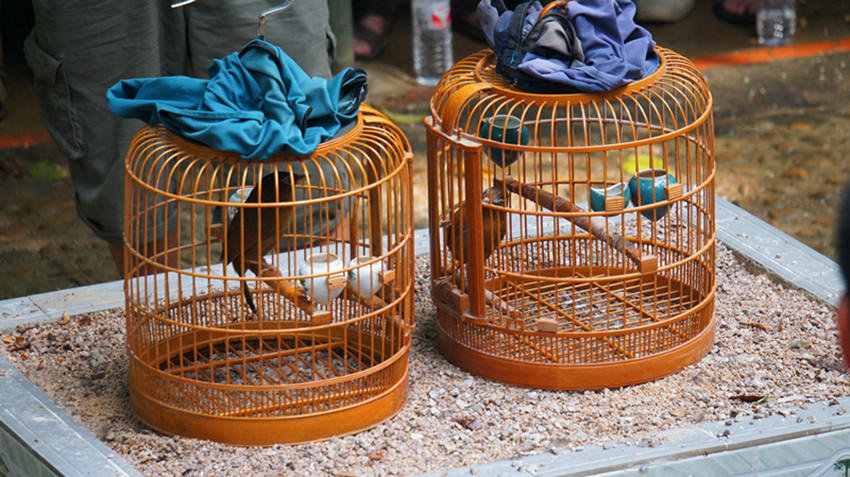DSC04580_副本.jpg