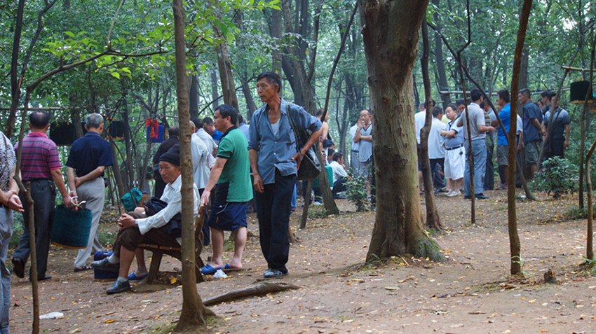 DSC04591_副本.jpg