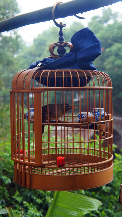 DSC04177_副本.jpg