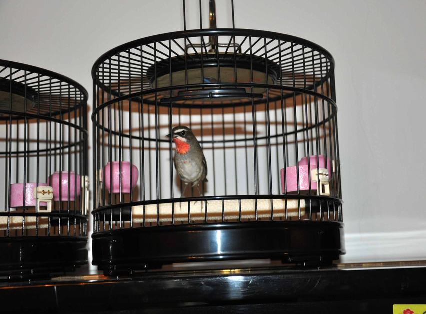 DSC_0426.JPG