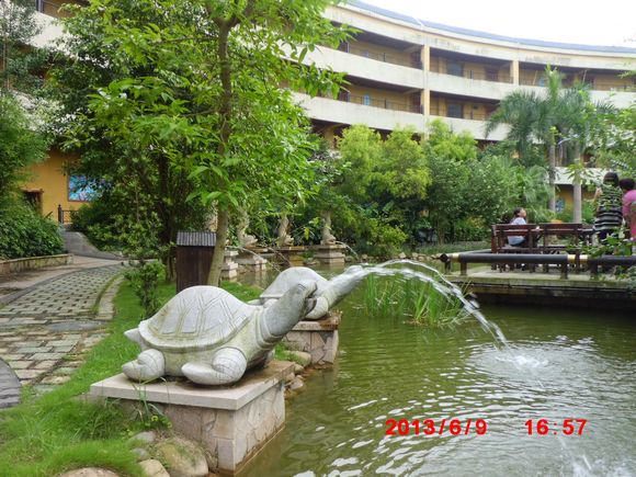 CIMG0804.JPG