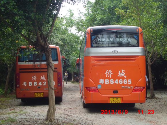 CIMG0772.JPG