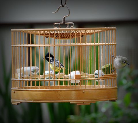 DSC_0017.jpg