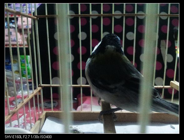 nEO_IMG_20130617_205547.jpg