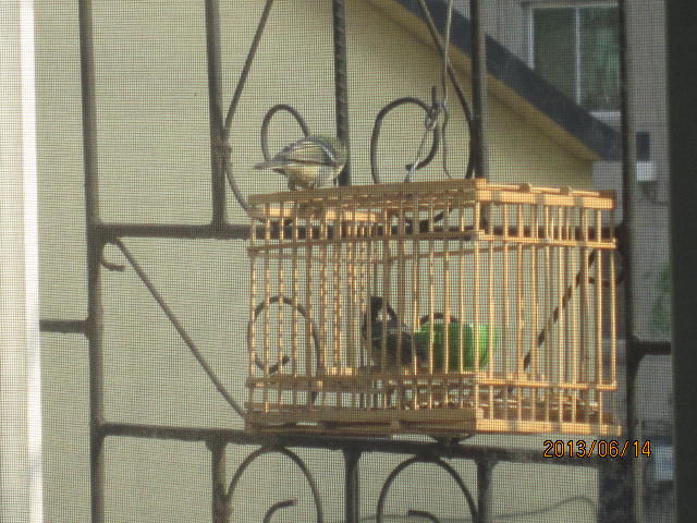 照片 181.jpg