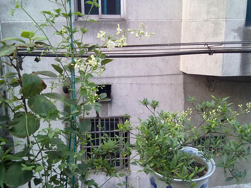 201307301860_副本.jpg