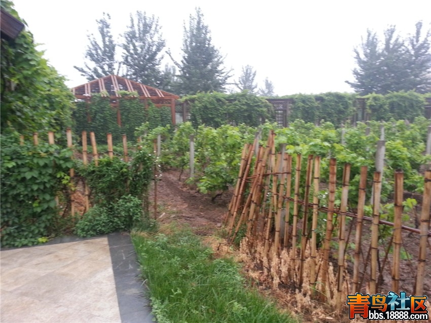 20130709_061803_副本.jpg