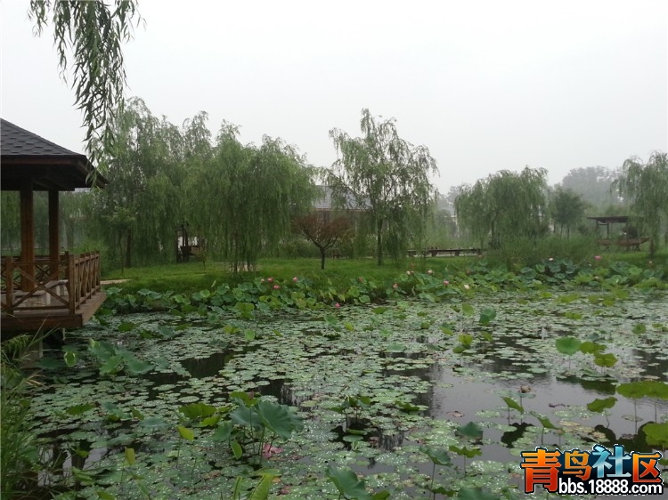 20130709_062337_副本.jpg