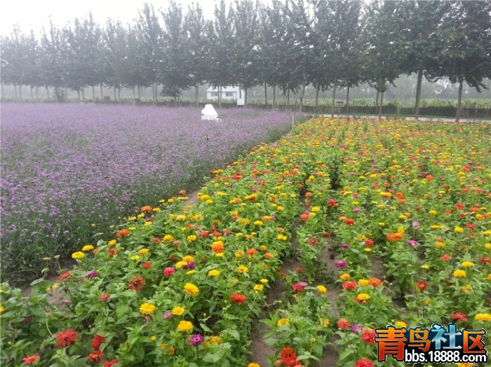 20130709_065702_副本.jpg