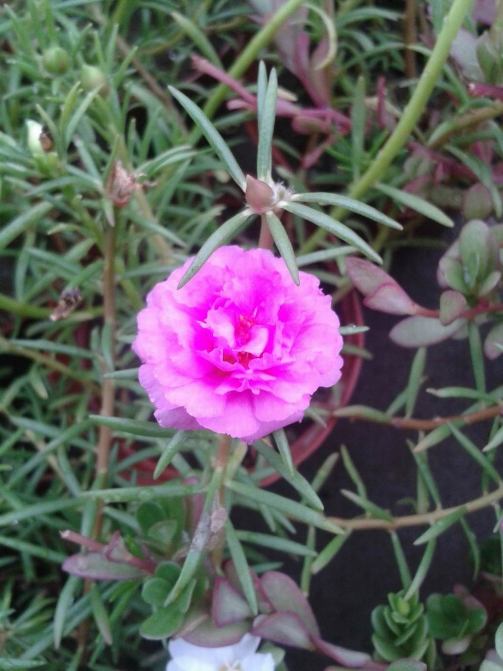 20130715_141602.jpg