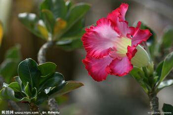 u=3199615192,1589864348&amp;fm=23&amp;gp=0.jpg