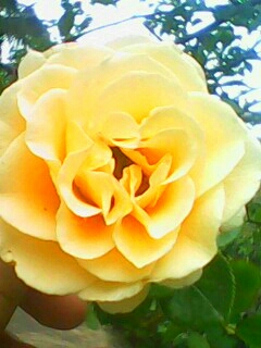 img0551a_副本.jpg