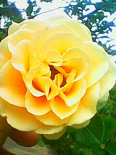 img0551a_副本1.jpg