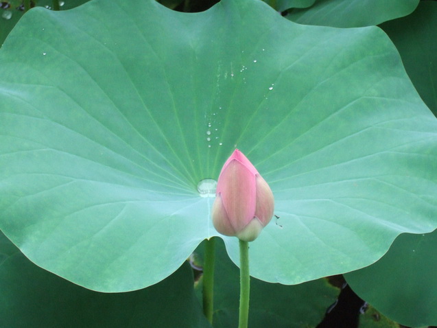 DSCF5064_调整大小.JPG