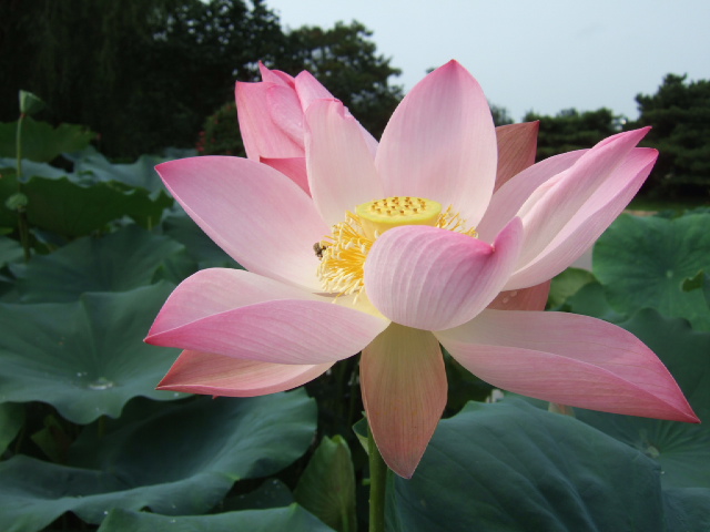 DSCF4216.JPG