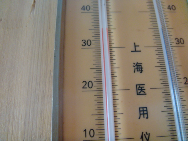 DSC04186.JPG