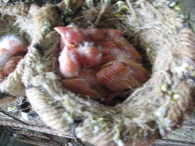 IMG_6370.JPG