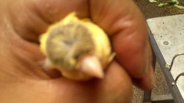 20110921074.jpg