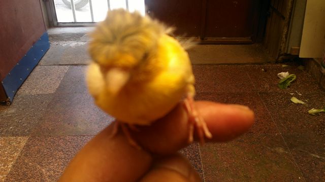 20110921076.jpg
