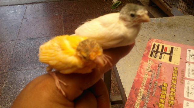 20110921083.jpg