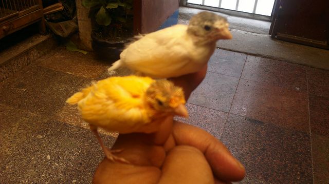 20110921085.jpg