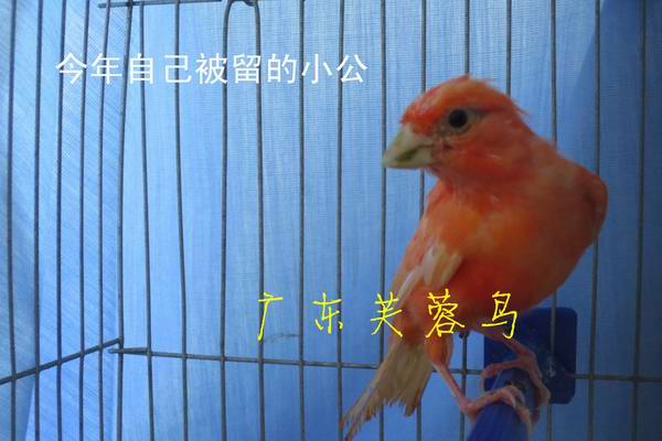 IMG_1742_副本_副本.jpg