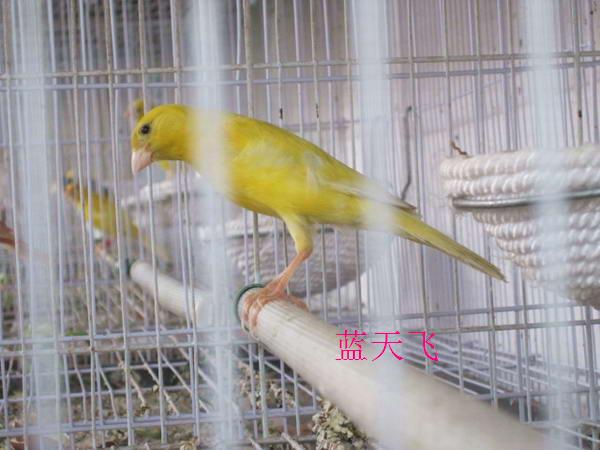 IMG_1930.JPG