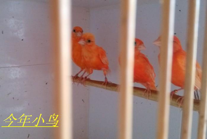QQ图片20130709072332.jpg