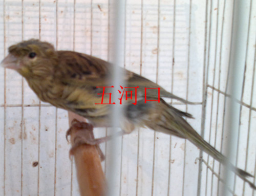 2013-05-13-105_副本.jpg