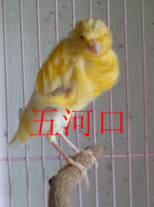 2013-07-27-138_副本.jpg