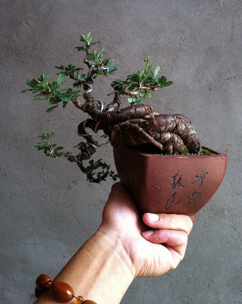 QQ截图20130724112157.jpg