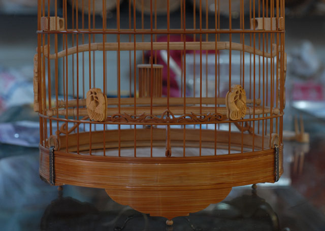 DSC_0053.JPG