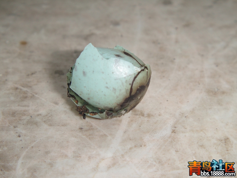 DSC02108_副本.jpg