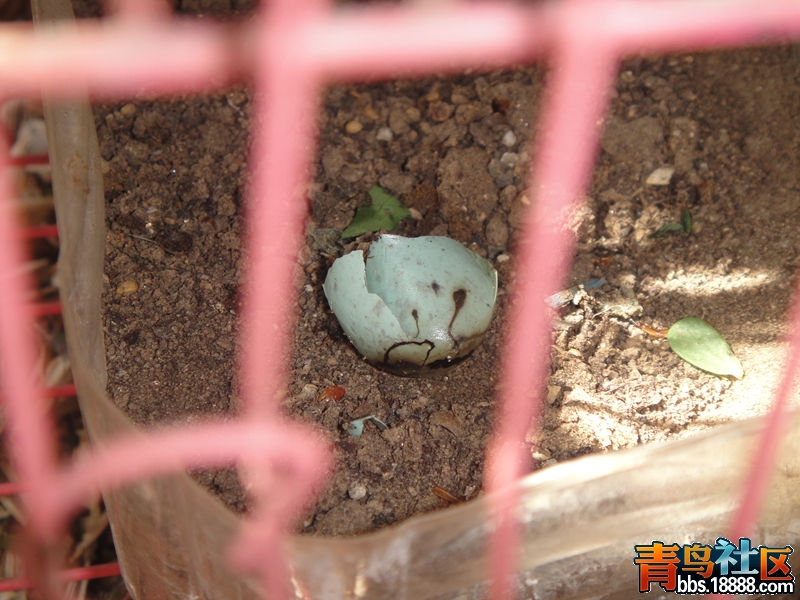 DSC02107_副本.jpg