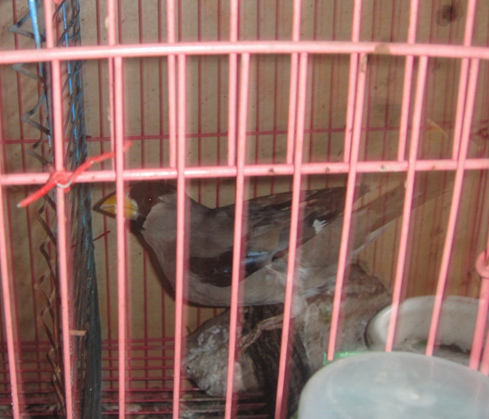 DSC02031_副本.jpg