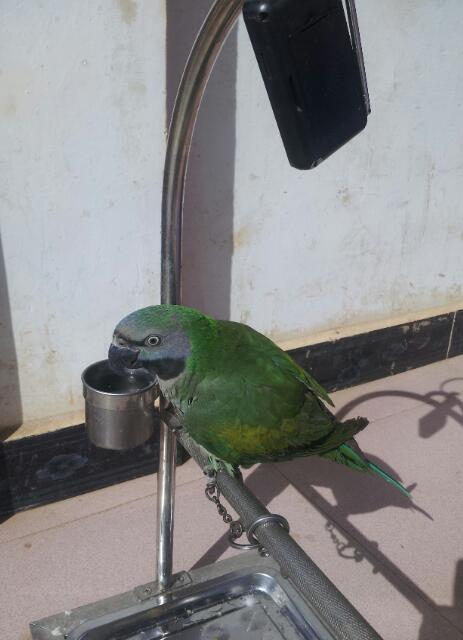 20130706_094407-1.jpg